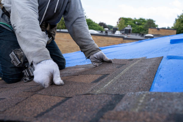 Best Roof Gutter Cleaning  in Hardin, MT